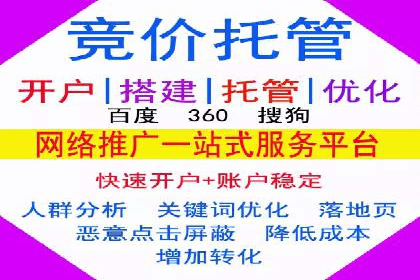SEM推广技巧：成功案例深度剖析